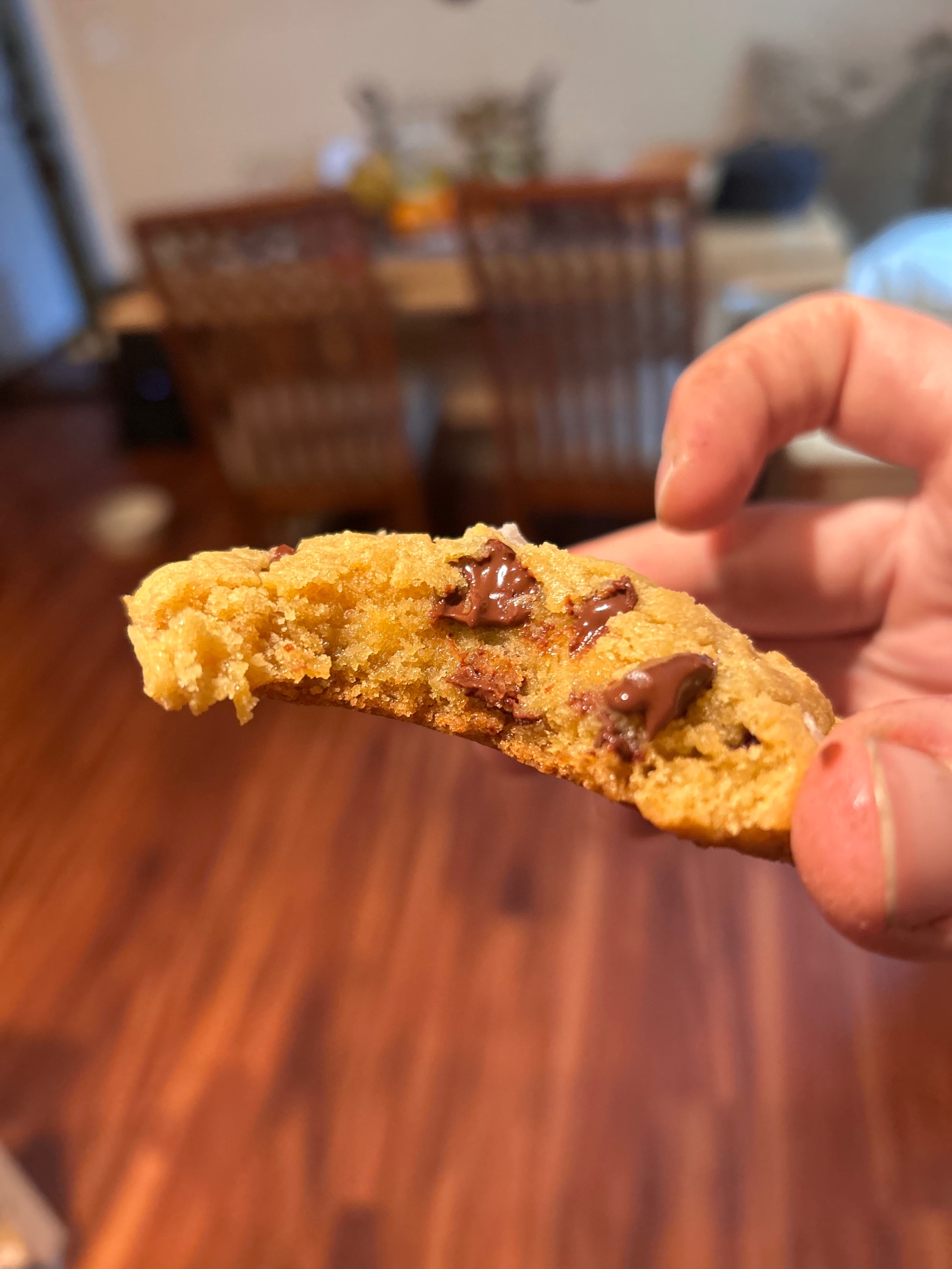 A warm chocolate chip cookie with melty pools of dark chocolate, broken open to show its soft golden middle