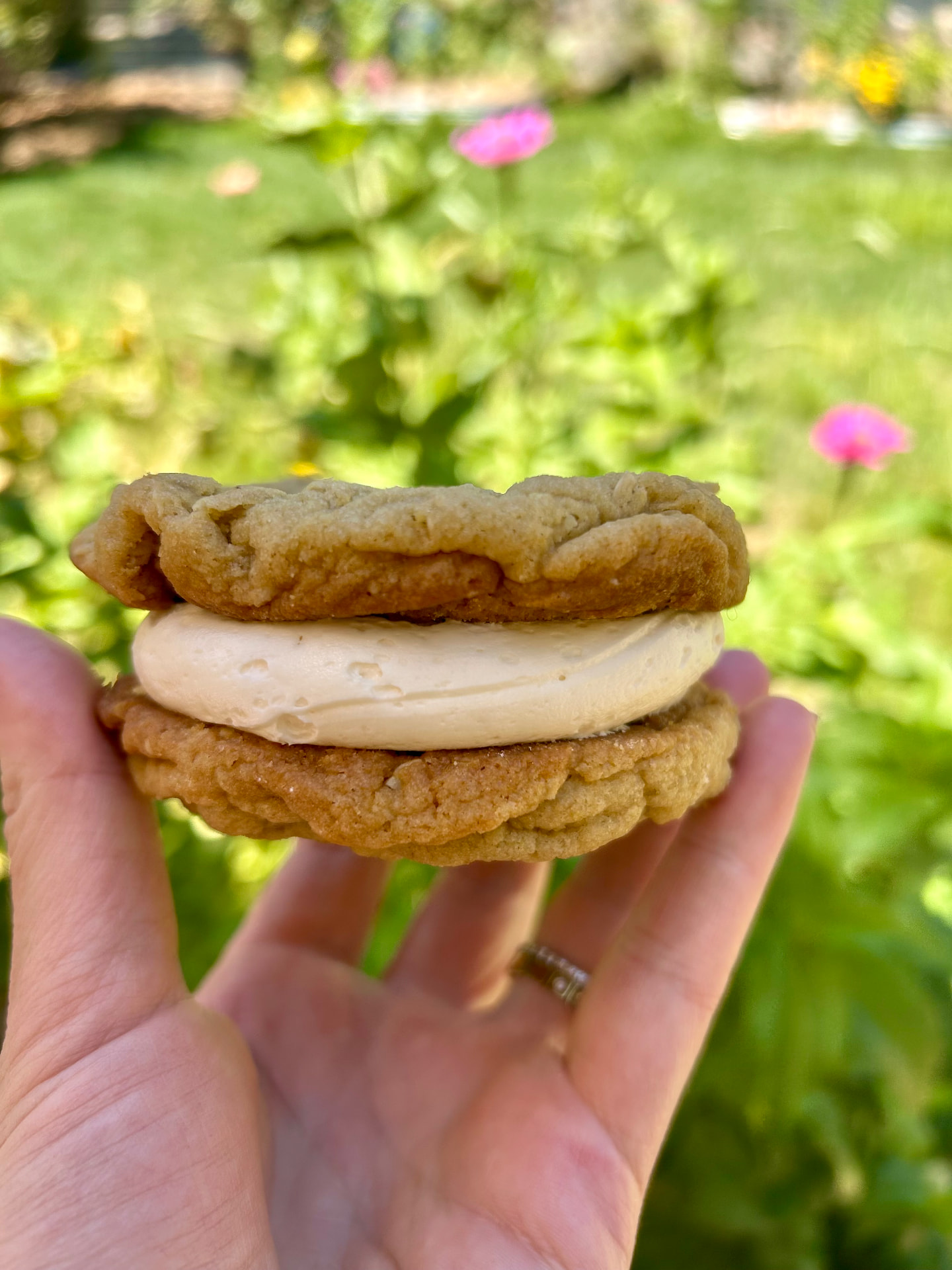 A hand holding a cream-filled cookie sandwich made of two golden cookies with thick white frosting, in front of pink flowers